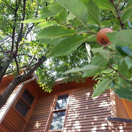 Persimmon Inn Блумінгтон Екстер'єр фото