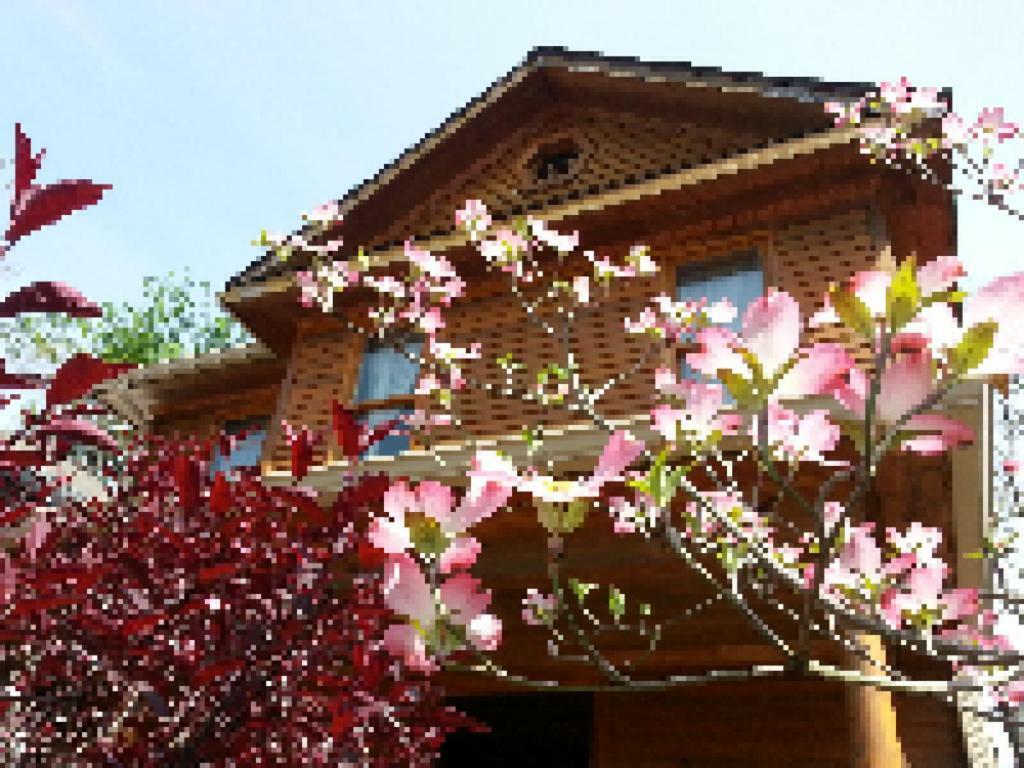 Persimmon Inn Блумінгтон Екстер'єр фото